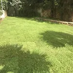 Oasi