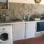 Oasi *