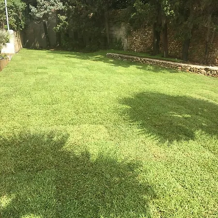 Oasi