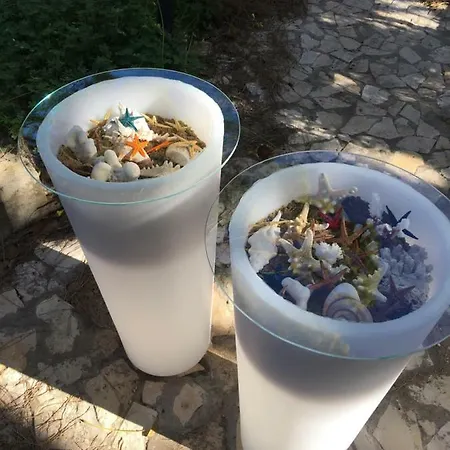 Сasa de vacaciones Oasi